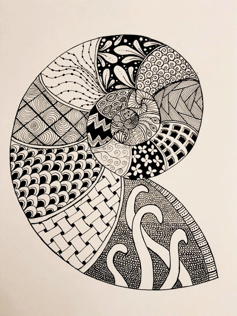Nautilus